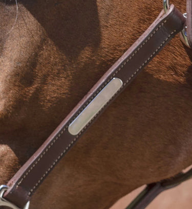 Norton Pro Grooming Leather Headcollar| Online For Equine