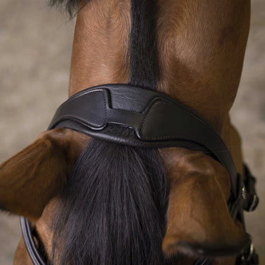 Norton Pro - Rock - Bridle| Online For Equine