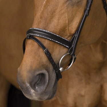 Norton Pro - Rock - Bridle| Online For Equine