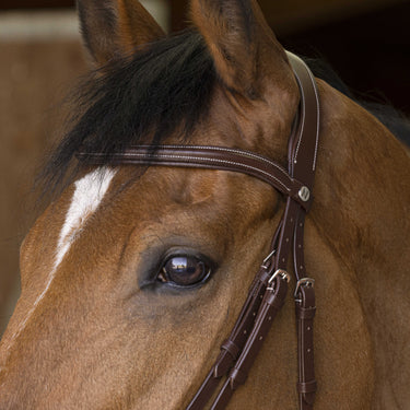Norton Pro - Rock - Bridle| Online For Equine