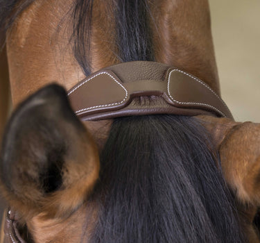 Norton Pro - Rock - Bridle| Online For Equine