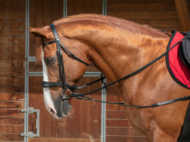 Norton Pro Short Elastic Side Reins With Pulleys| Online For Equine