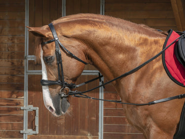 Norton Pro Short Elastic Side Reins With Pulleys