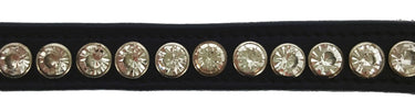 Norton Pro - Strass - Browband| Online For Equine