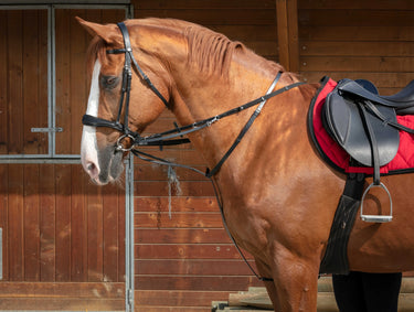 Norton Pro - Thiedeman - Side Reins| Online For Equine