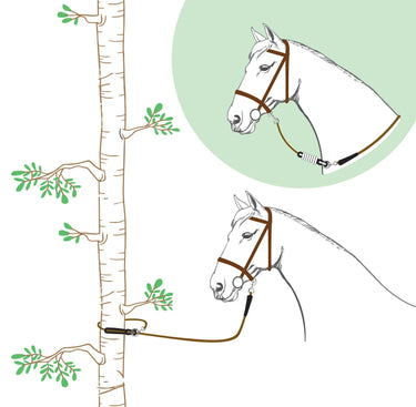 Norton Rando Lead Rope| Online For Equine