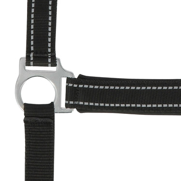 Norton Reflective Headcollar| Online For Equine