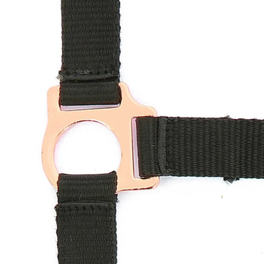 Norton Rose Gold Headcollar & Lead Rope| Online For Equine