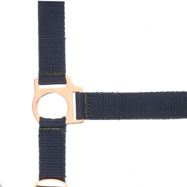 Norton Rose Gold Headcollar & Lead Rope