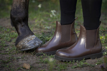 Norton - Safety - Boots| Online For Equine