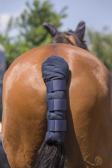 Norton Short Padded Tail Guard| Online For Equine