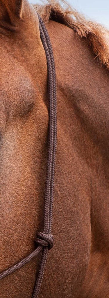 Norton Soft Ethological Headcollar| Online For Equine