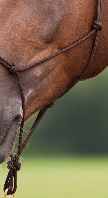 Norton Soft Ethological Headcollar| Online For Equine