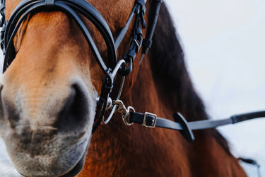 Norton Training Pvc Rubber Reins