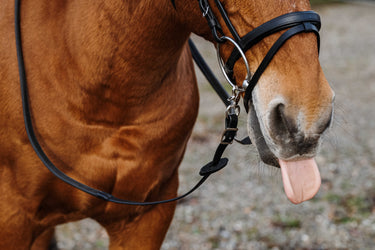 Norton Training Pvc Rubber Reins| Online For Equine