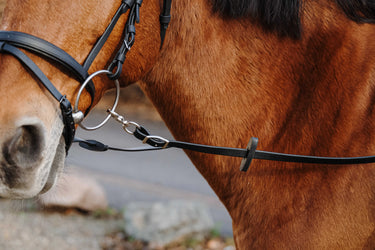 Norton Training Pvc Rubber Reins| Online For Equine