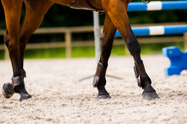 Norton "Synthetic" Double Shell Fetlock Boots| Online For Equine