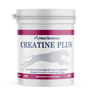 Buy NutriScience Creatine Plus | Online for Equine