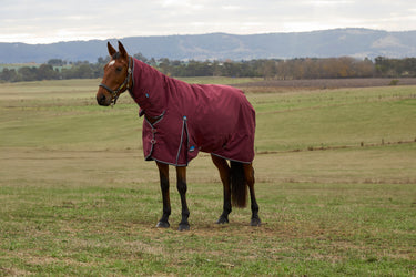 Weatherbeeta Comfitec Prelim Turnout Combo 0G