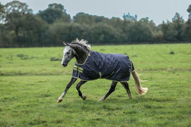 Bucas Oasis Turnout 100g + Neck Set Rug