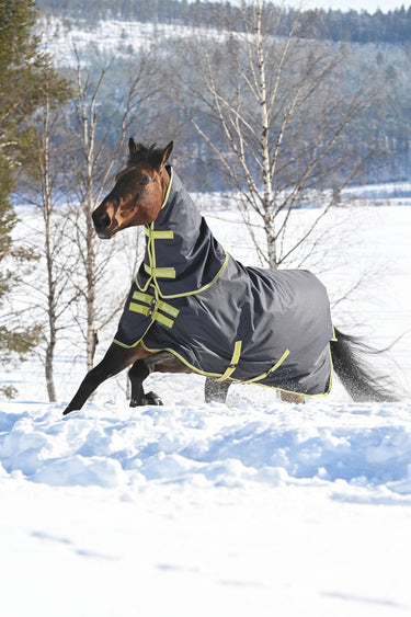 Bucas Oasis Turnout 200g + Neck Set Rug
