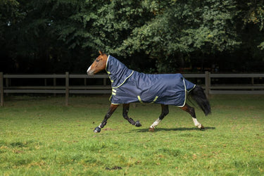 Bucas Oasis Turnout 100g + Neck Set Rug