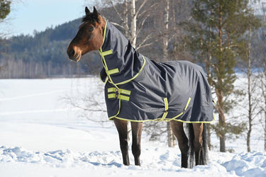Bucas Oasis Turnout 200g + Neck Set Rug