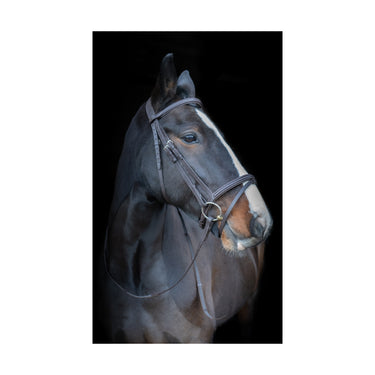 Cameo Equine Black Anatomic Comfort Bridle