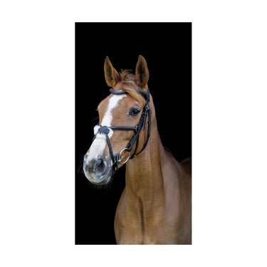 Cameo Equine Brown Anatomic Grackle Bridle