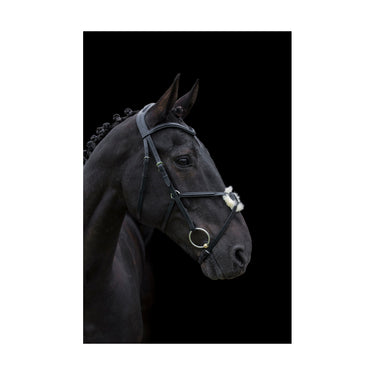 Cameo Equine Black Anatomic Grackle Bridle