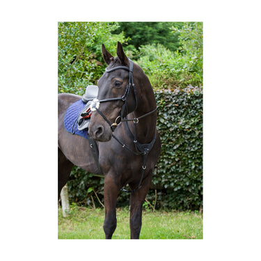 Cameo Equine Black Anatomic Grackle Bridle