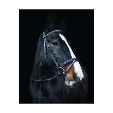 Cameo Equine Brown Anatomic Comfort Bridle