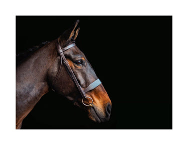 Cameo Equine Brown Hunt Bridle 2 Browbands