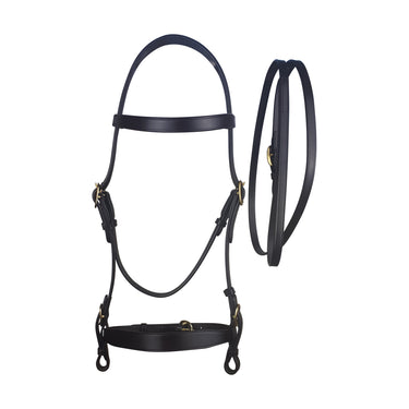 Cameo Equine Black In Hand Bridle and Lead