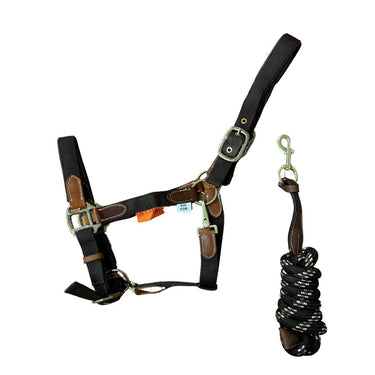 Buy Cameo Equine Performance Leather Point Headcollar & Leadrope| Online for Equine