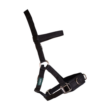 Cameo Equine Cob Lunge Cavesson