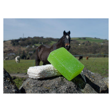 EcoRider Tea Tree Vegan Soap