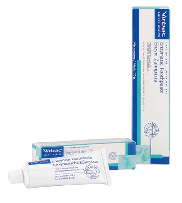 Enzymatic Toothpaste
