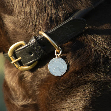 Benji & Flo Superior Rolled Leather Dog Collar