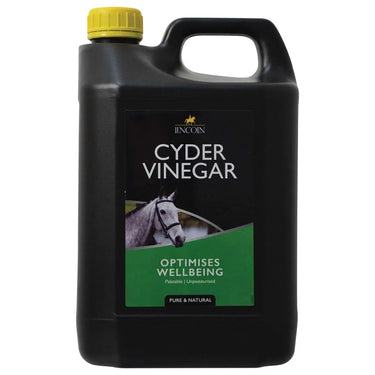 Lincoln Cyder Vinegar