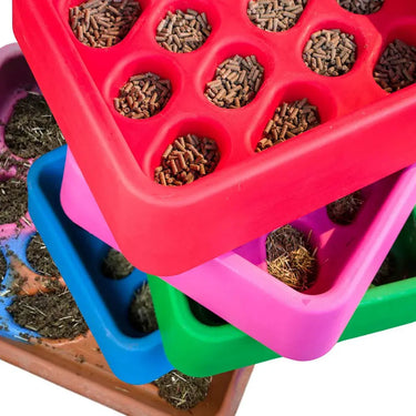 Parallax Grad-Dual Feeder| Online For Equine