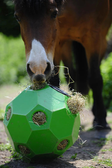 Parallax Hay Play| Online For Equine