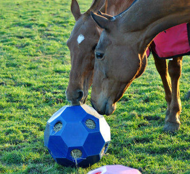 Parallax Hay Play| Online For Equine