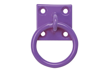 Buy Perry Equestrian Tie Ring on Plate (Individual)| Online for Equine