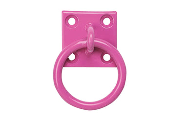 Buy Perry Equestrian Tie Ring on Plate (Pack of 2)| Online for Equine