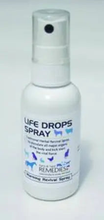 Phytopet Life Drops Spray| Online For Equine