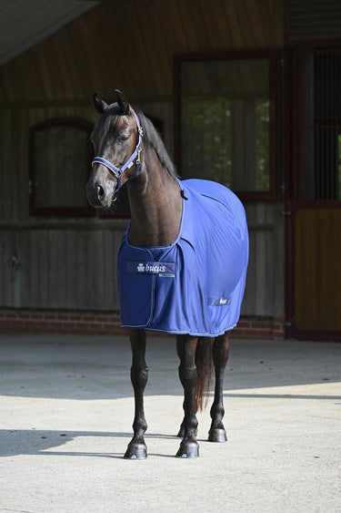 Bucas Power Cooler Pony Rug