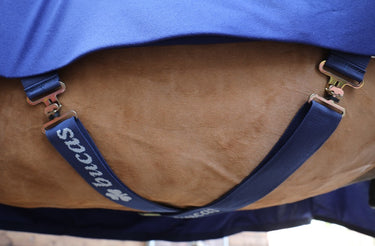 Bucas Power Cooler Rug