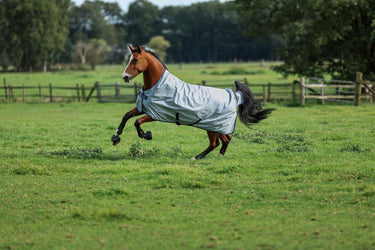Bucas Power Turnout Light High Neck Rug