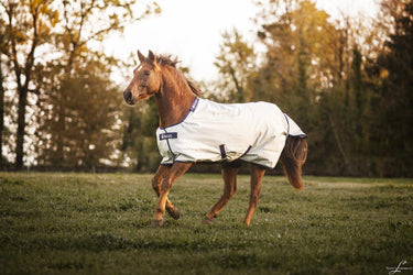 Bucas Power Turnout Medium Rug